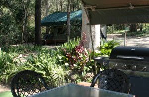 Tamborine Mountain Caravan & Camping - Accommodation Gold Coast 2