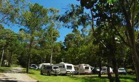 Tamborine Mountain Caravan & Camping - Accommodation Gold Coast 3