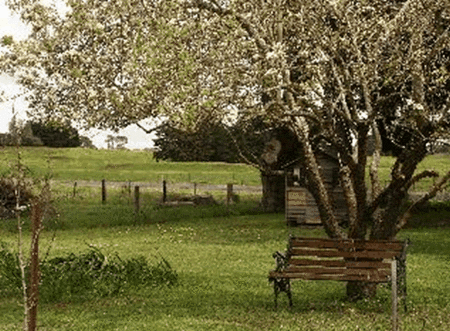 Lemon Gum B And B - Accommodation Gold Coast 2