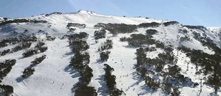Thredbo Alpine Hotel - Accommodation Gold Coast