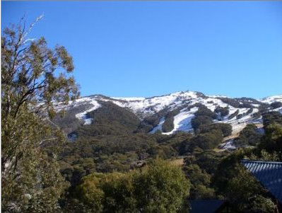 Alpenhorn Lodge - Accommodation Gold Coast 1