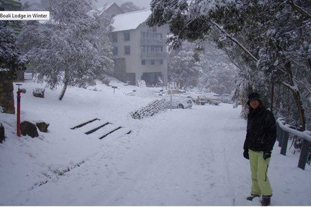 Boali Lodge - Accommodation Gold Coast 4