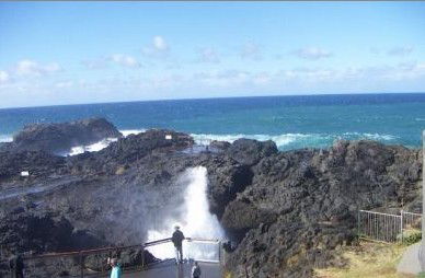 Kiama Ocean View Motor Inn - Accommodation Gold Coast 1