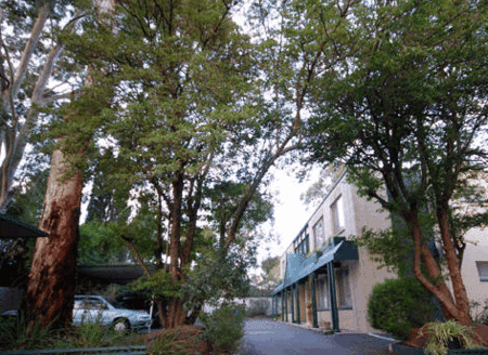 Adelaide Oakford Apartments - Gold Coast 4U 0