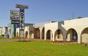 Citrus Motel - Accommodation Gold Coast 0