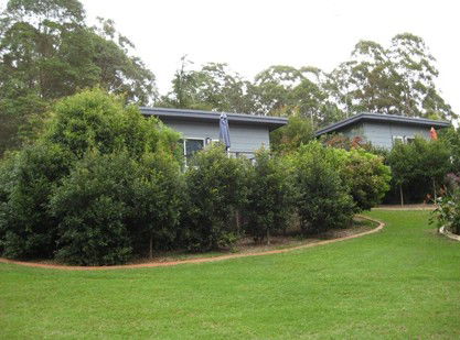 Mapleton Cabins And Caravan Park - Accommodation Gold Coast 3