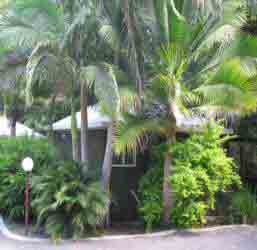 Nambour Rainforest Holiday Village - Accommodation Gold Coast 1
