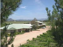 Mudgee Vineyard Motor Inn - Accommodation Gold Coast 1