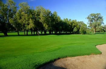 Golf Links Motel - Accommodation Gold Coast 7