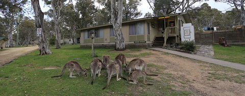 Kosciuszko Tourist Park - Accommodation Gold Coast 5