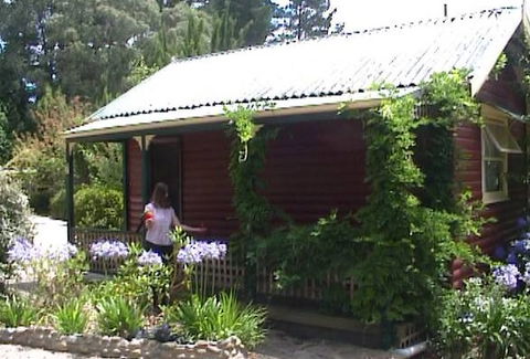 Cedar Lodge Cabins - Accommodation Gold Coast 1