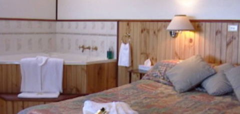 Cedar Lodge Cabins - Accommodation Gold Coast 2