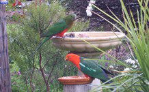 Valley View Motel Murrurundi - Murrurundi - Accommodation Gold Coast 4