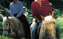 Cooby Springs Country Retreat - Accommodation Gold Coast 1