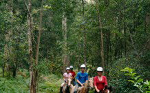 Cooby Springs Country Retreat - Accommodation Gold Coast 2