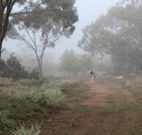 Heritage Park Bathurst - Gold Coast 4U