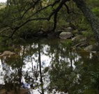 Hidden Valley Farm - Accommodation Gold Coast