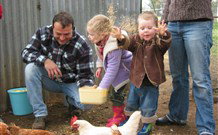 Linga Longa Farm Wingham - Accommodation Gold Coast 0