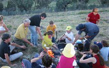 Linga Longa Farm Wingham - Accommodation Gold Coast 3