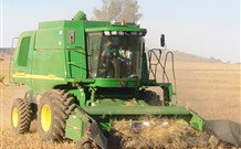 Linga Longa Farm Wingham - Accommodation Gold Coast 4