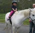 Mansfield Cottage Barrington Tops Accommodation - Accommodation Gold Coast