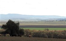 Middlebrook Station Farmstay B And B - Accommodation Gold Coast 2