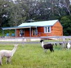 Moorallie Cottage Farm Stay - Accommodation Gold Coast