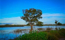 Morvern Valley Farm Stay Cottages - Accommodation Gold Coast 4