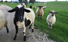 Mount Christopherson Retreat - Accommodation Gold Coast 3