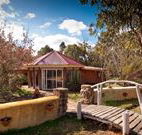 Starline Alpaca Farm Stay - Accommodation Gold Coast
