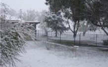 Tirrintippin - Accommodation Gold Coast 0