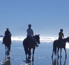 Whispering Brook - Accommodation Gold Coast