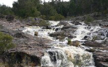 Wildwood Guesthouse - Accommodation Gold Coast 2