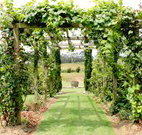 All Saints Bed and Breakfast - Accommodation Gold Coast