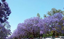 Andavine House Bed And Breakfast - Accommodation Gold Coast 5