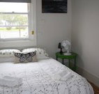 Elm  Wren - Accommodation Gold Coast