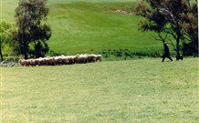 Gooromon Park Cottages - Accommodation Gold Coast 0