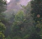 Havans Ecotourist Retreat - - Accommodation Gold Coast