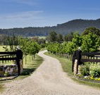 Pemberley Grange Hunter Valley Getaway - Accommodation Gold Coast