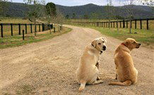 Pemberley Grange Hunter Valley Getaway - Accommodation Gold Coast 1