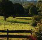 Pines on the Plateau - Accommodation Gold Coast