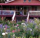 Rose Patch Bed and Breakfast - Accommodation Gold Coast