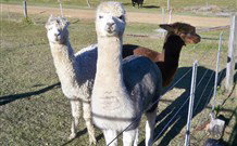 Sunrise Bed And Breakfast - Accommodation Gold Coast 4