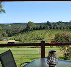 The Shed B and B - Accommodation Gold Coast