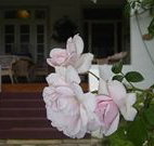 White House Heritage Guesthouse - Accommodation Gold Coast