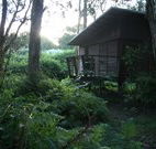 Mount Seaview Resort - Accommodation Gold Coast