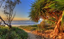 Andrea's Houses - Frangipani House - Gold Coast 4U 4