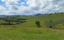 Denham Cottage - Accommodation Gold Coast 4