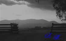 Denham Cottage - Accommodation Gold Coast 3