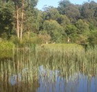 Fosterton Lodge Retreat - Accommodation Gold Coast